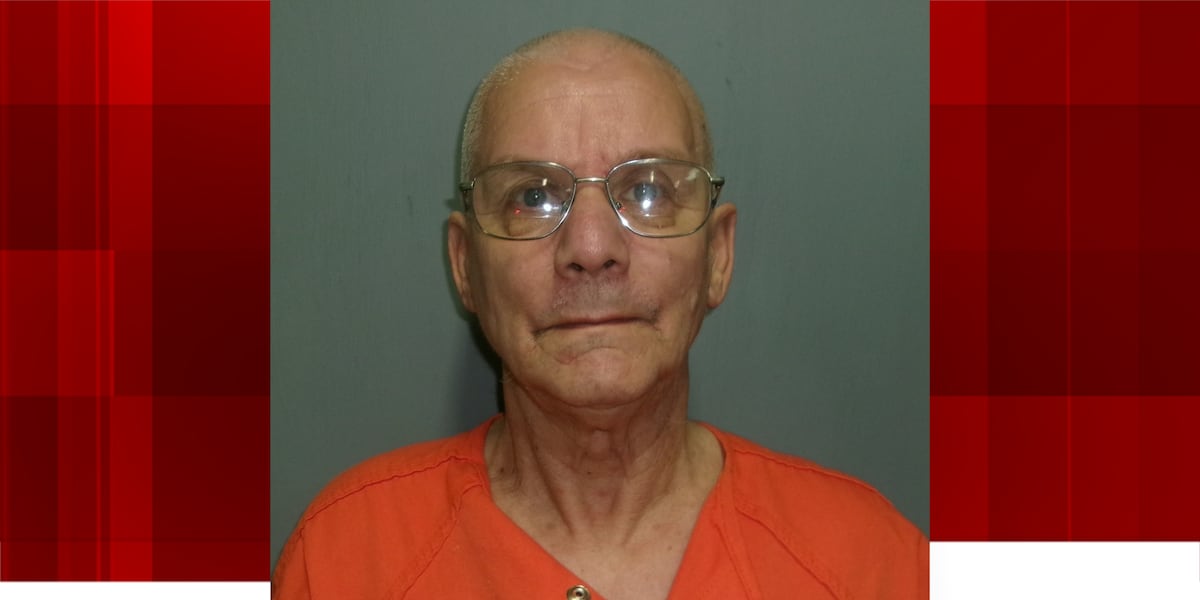 Leesville man admits to molesting two children, deputies say