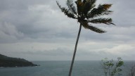 Cyclone 'Montha' Alert: Flight Operations Affected, Schools Shut In THESE Districts