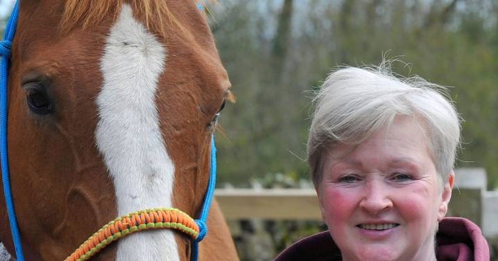 Dumfries and Galloway animal charity closing its doors after nearly 10 years