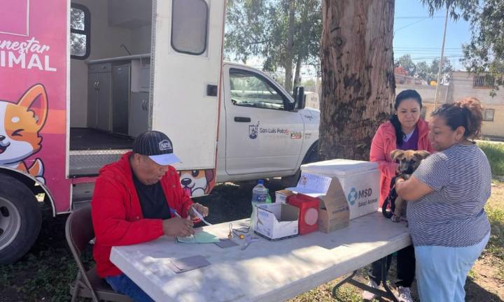Gobierno de la capital refuerza acciones por el bienestar animal en SLP