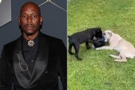 Tyrese Gibson Didn't Turn Himself in to Police as Requested, Though Lawyer Says He's 'Cooperating Fully'