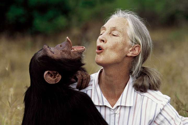 Jane Goodall lived her childhood dream