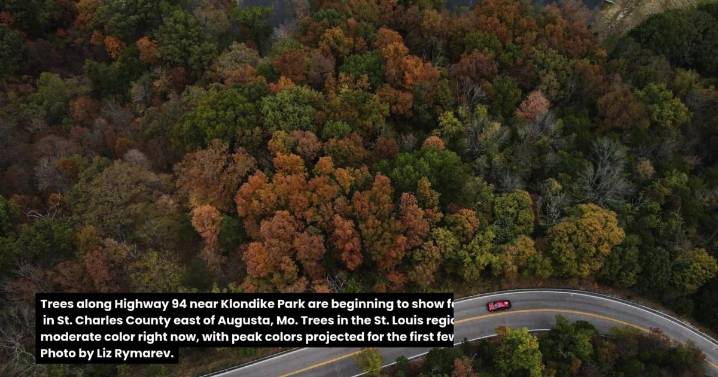 View life in St. Louis the week of Oct. 19, 2025