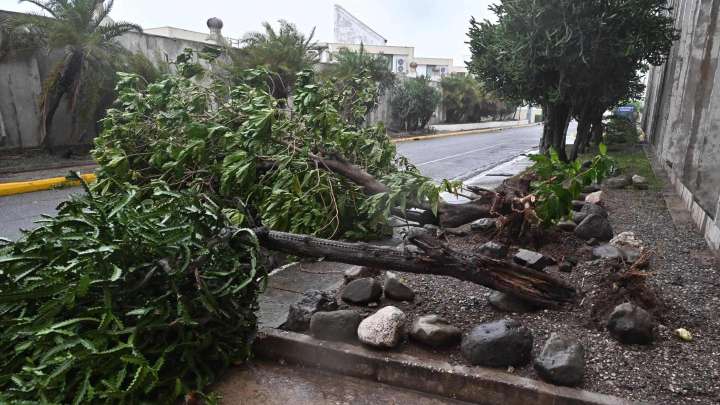 Mexicana en Jamaica Narra Cómo Vivió el Impacto del Huracán ‘Melissa’