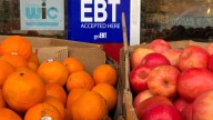 Will SNAP benefits be paid in November?