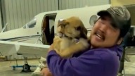 Dogs reunited with owners after Alaska floods