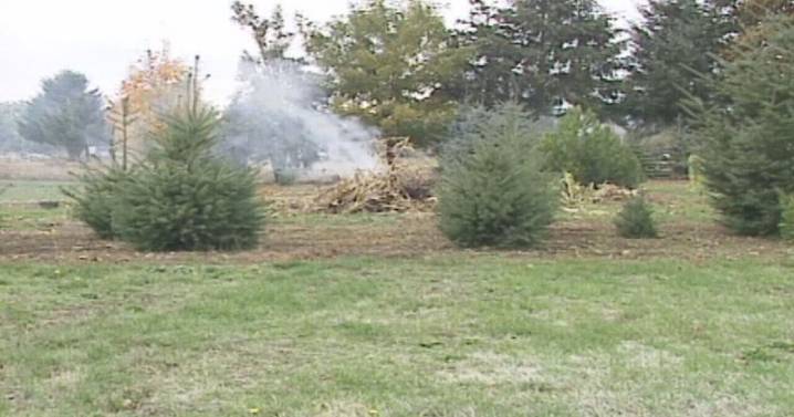 Lane County burn season opens after record dry year ends