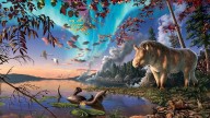 Arctic fossil is northern-most rhino species ever found