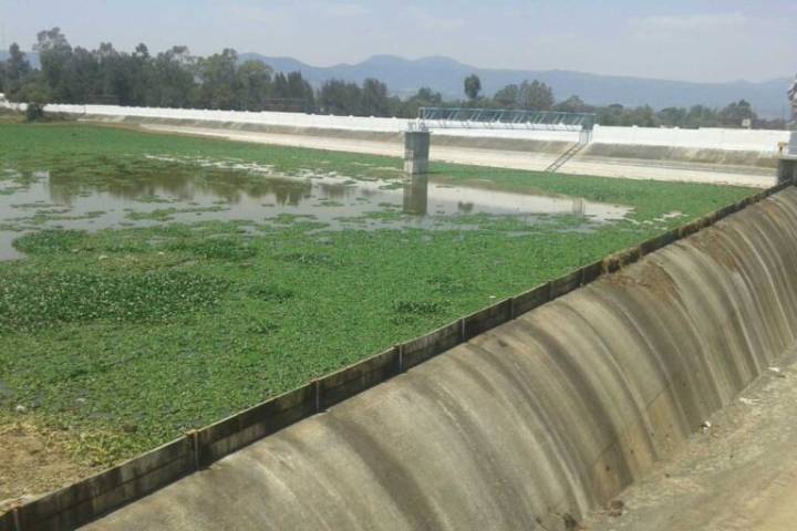 Esta situación en la presa La Esperanza, de Tulancingo, preocupa a usuarios de riego