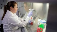 Why 'organ chips' could transform cancer treatment and drug testing