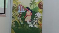 Tarapoto: Campaña “Sin bosques no hay vida” promueve la conservación de los bosques tropicales