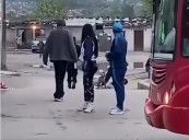 ES VIRAL| En Jujuy los perros atrapan a los ladrones