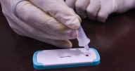 Científicos descubren en Alemania un anticuerpo capaz de contener parcialmente el VIH