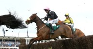 'He loves Cheltenham and 9-1 shot can make course form count' – Jason Heavey's racing tips