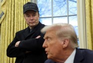 Trump takes shot at Elon Musk with 'stupid moment in his life' comment