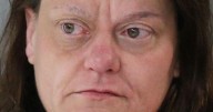 Police: Twin Falls woman admitted to making trips to bring drugs to Idaho