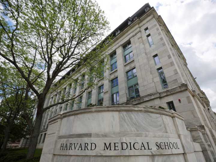 Harvard ruled as legally liable for theft of body parts from morgue