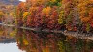 Unique ways to view fall foliage around New Jersey