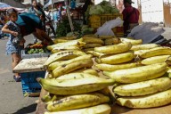 Fumplaven: en Venezuela se consume 180 mil toneladas de plátano al...