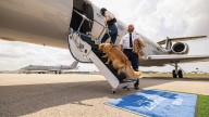 The Booming Business of Dog-Friendly Airlines