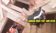 Tres invasores irrumpen en vivienda de San Juan de Lurigancho y familia logra enfrentarlos