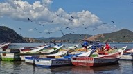 Zafra de sardina en Guaca entra en su último trimestre con números favorecedores para el sector pesquero (+Fotos)