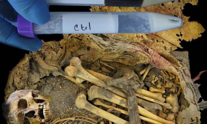 El microbioma intestinal de un joven del México precolombino desvela cambios evolutivos