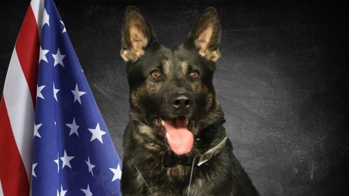 Haltom City honors K9 Ghost's legacy and service