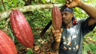 El mejor café del Cauca y el cacao del Huila conquistan Roma: buscan atraer USD 40 millones en inversión sostenible