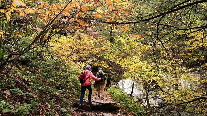 Drought has muted this year's leaf-peeping season, but pockets of brilliant colors remain