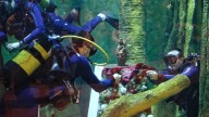 El Acuario de Zaragoza rinde homenaje a la Virgen del Pilar con una ofrenda submarina