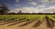 Australians embrace regional travel resurgence 2026