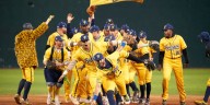 Banana Ball returning to St. Louis next summer