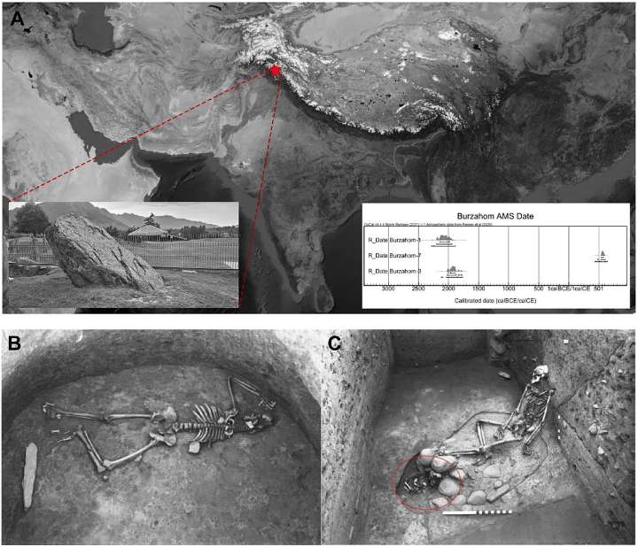 DNA From Ancient Burials in Kashmir Reveals Genetic Bridge