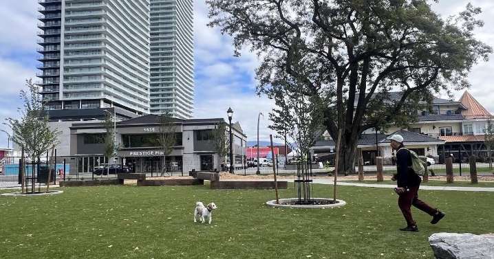 Kelowna's million-dollar downtown dog park opens Thursday