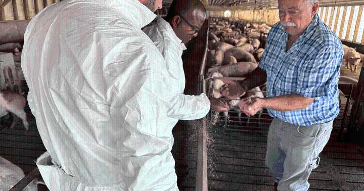 Illinois producer follows early interest in pork