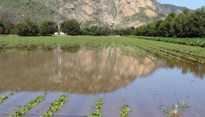 Evalúan daños al campo en Metztitlán, más de 5 mil hectáreas afectadas por lluvias