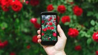 El auge de las familias digitales: por qué 2025 está favoreciendo los paquetes con varias líneas móviles