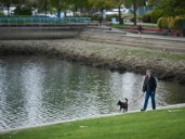 VPD investigating 'random and unprovoked' stabbing spree on Yaletown seawall
