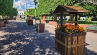 Nuevo Chupícuaro decora su jardín con cempasúchil en honor al Día de Muertos