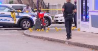 Man charged in shooting that left bystander paralyzed, Roxbury restaurant riddled with bullets