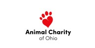 Humane agents investigating alleged cat hoarding situation in Youngstown