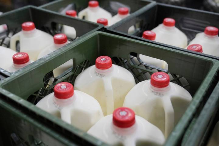Federal SNAP benefits won’t be paid in November: What happens next?