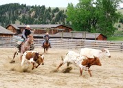 Travel: Saddle up! These guest ranches deliver the West without roughing it