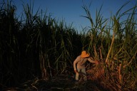 Researchers are mapping rural heat to protect farmworkers
