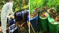 Operación Frontera Norte Resulta en Golpe de 10 Millones de Pesos al Narcotráfico en Sinaloa