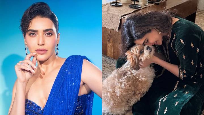 'Air Turns Grey, Pets Hide Under Bed': Karishma Tanna Speaks Out Against Firecrackers, Urges Fans To Celebrate Festivals Mindfully