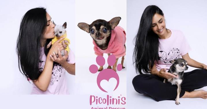 Global Child "Travel & Purpose" & Picolinis Animal Rescue Siblings Unite to Protect Miami's Precious Pets