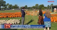 Pumpkins with a Purpose: St. Luke’s annual Pumpkin Patch returns to Shreveport