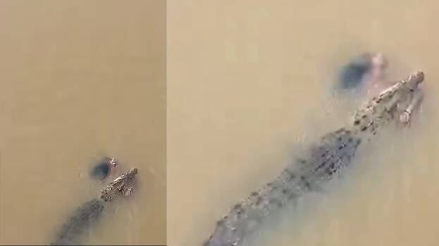 55-year-old woman killed after being attacked by crocodile